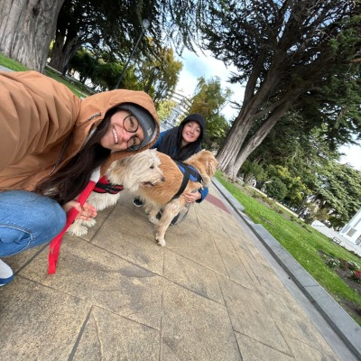 Un palito para Polo, un premio para Pepa y una once petfriendly para nosotras