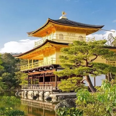 Visita al  Templo Dorado de Kioto (Kinkakuji)