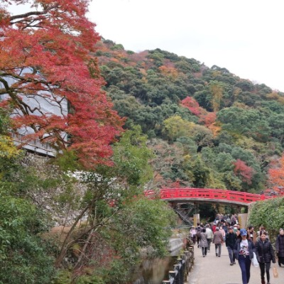 Paseo por Parque Minoh, Osaka