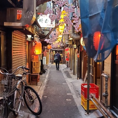 Tour Gastronómico al Callejón Omoide Yokocho