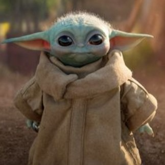 CONOCER A BABY YODA