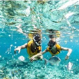 BUCEO EN GALAPAGOS