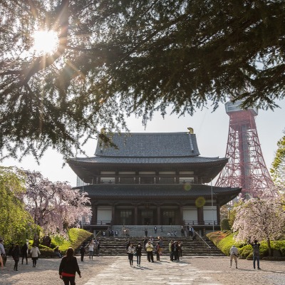 Tour al Templo Zojo-ji y Parque Shiba